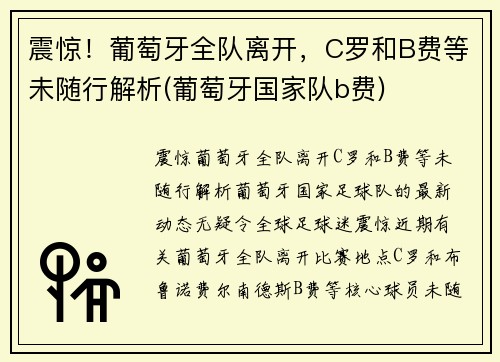 震惊！葡萄牙全队离开，C罗和B费等未随行解析(葡萄牙国家队b费)
