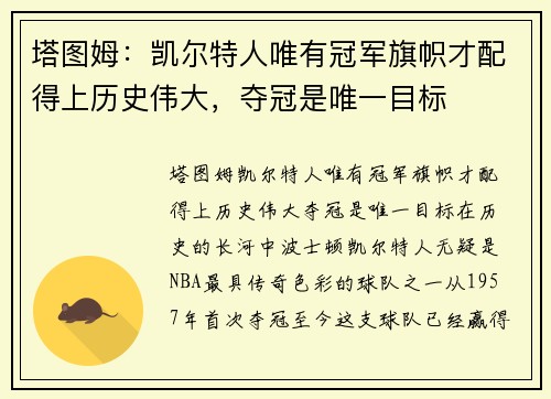 塔图姆：凯尔特人唯有冠军旗帜才配得上历史伟大，夺冠是唯一目标