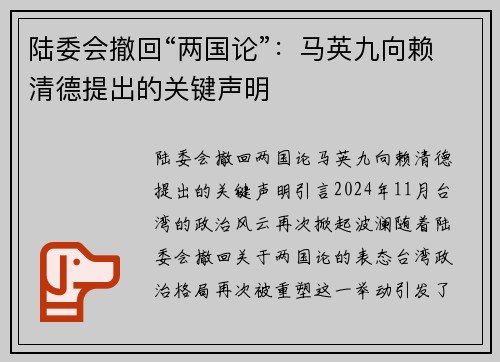 陆委会撤回“两国论”：马英九向赖清德提出的关键声明