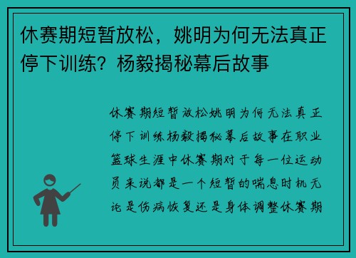 休赛期短暂放松，姚明为何无法真正停下训练？杨毅揭秘幕后故事