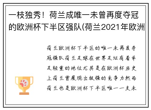 一枝独秀！荷兰成唯一未曾再度夺冠的欧洲杯下半区强队(荷兰2021年欧洲杯)
